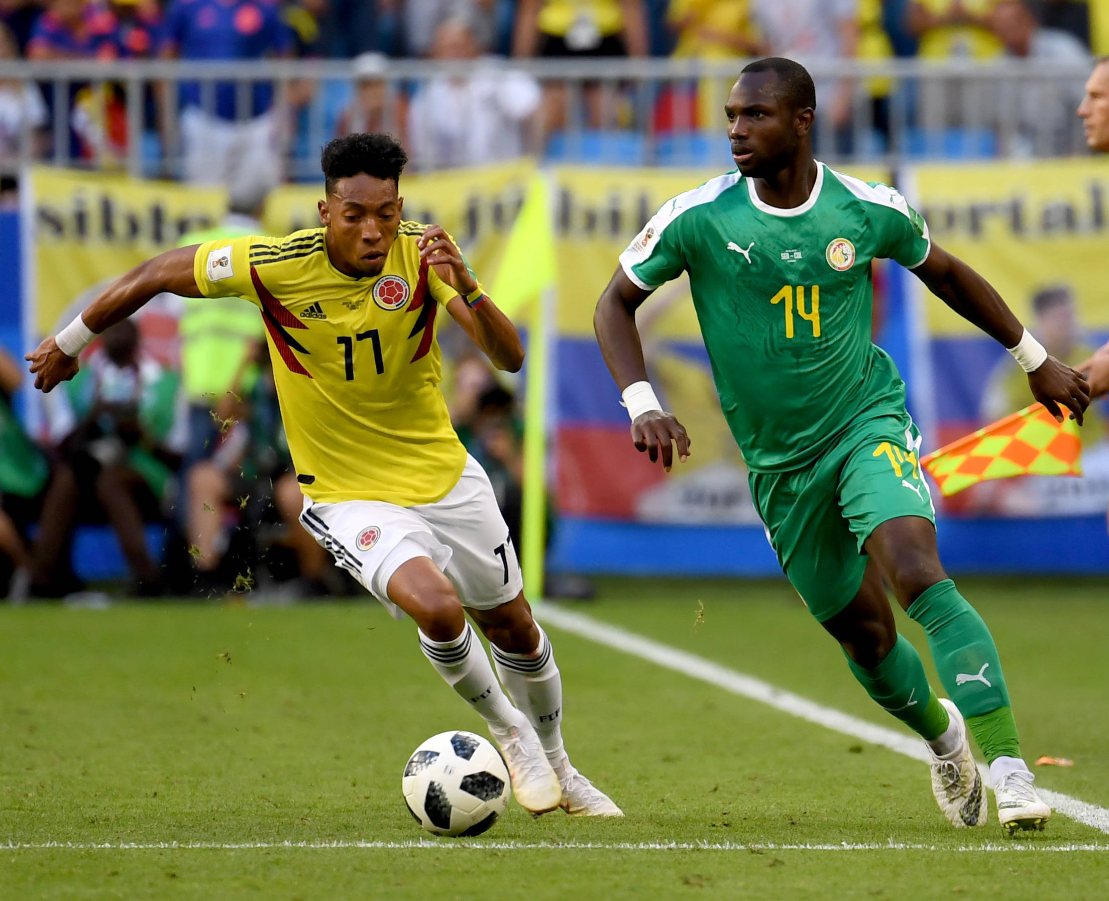 职业球员的 职业球员的